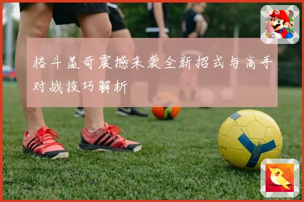 格斗盖奇震撼来袭全新招式与高手对战技巧解析