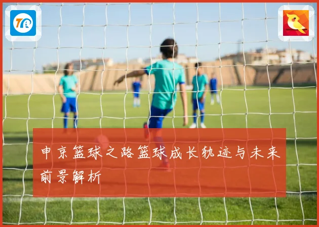 申京篮球之路篮球成长轨迹与未来前景解析